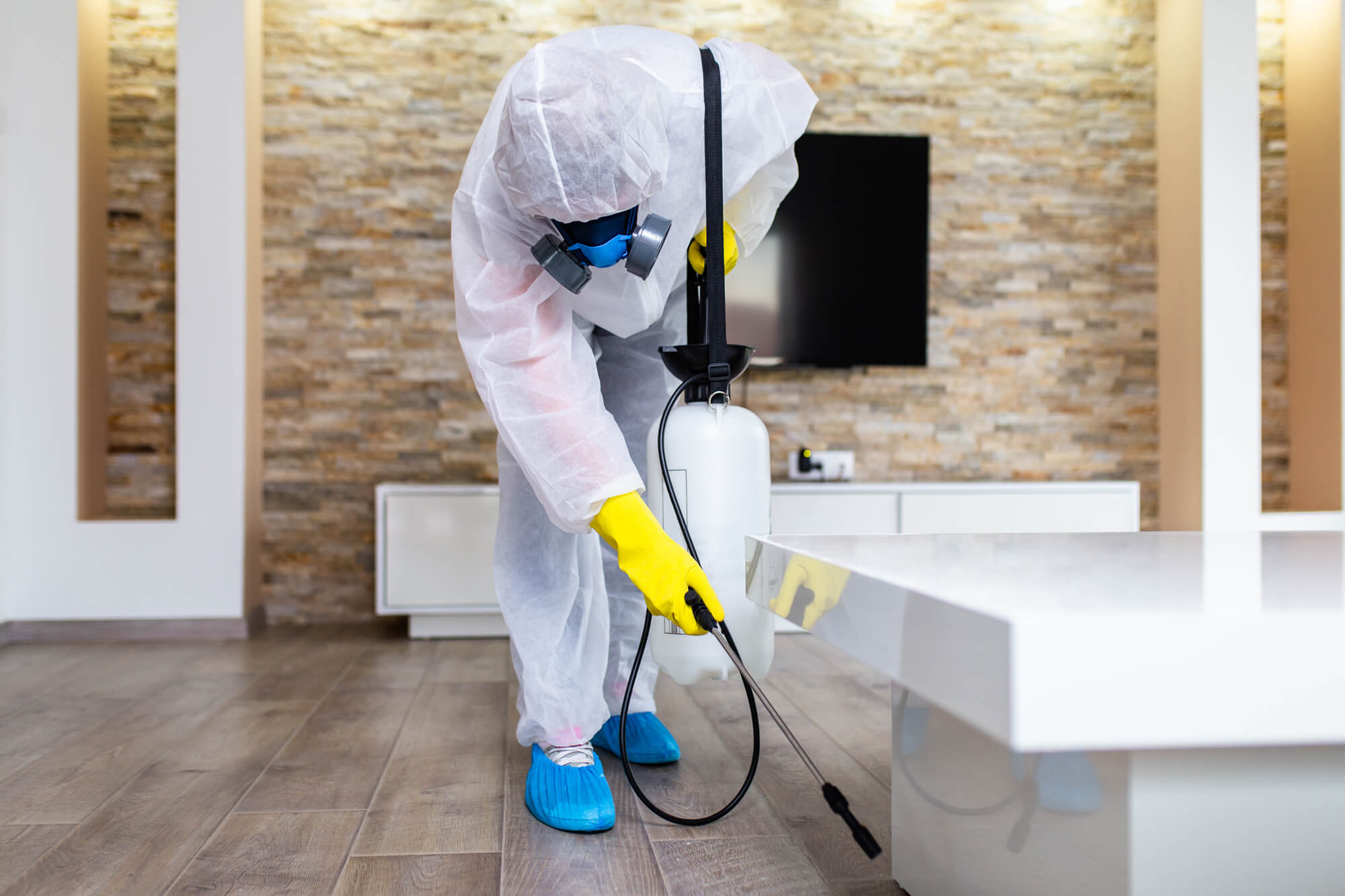 Professional cleaning and fumigation service